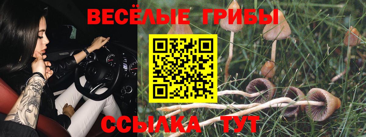 Октябрьский  Псилоцибиновые грибы Magic Shrooms  Вход с VPN 
