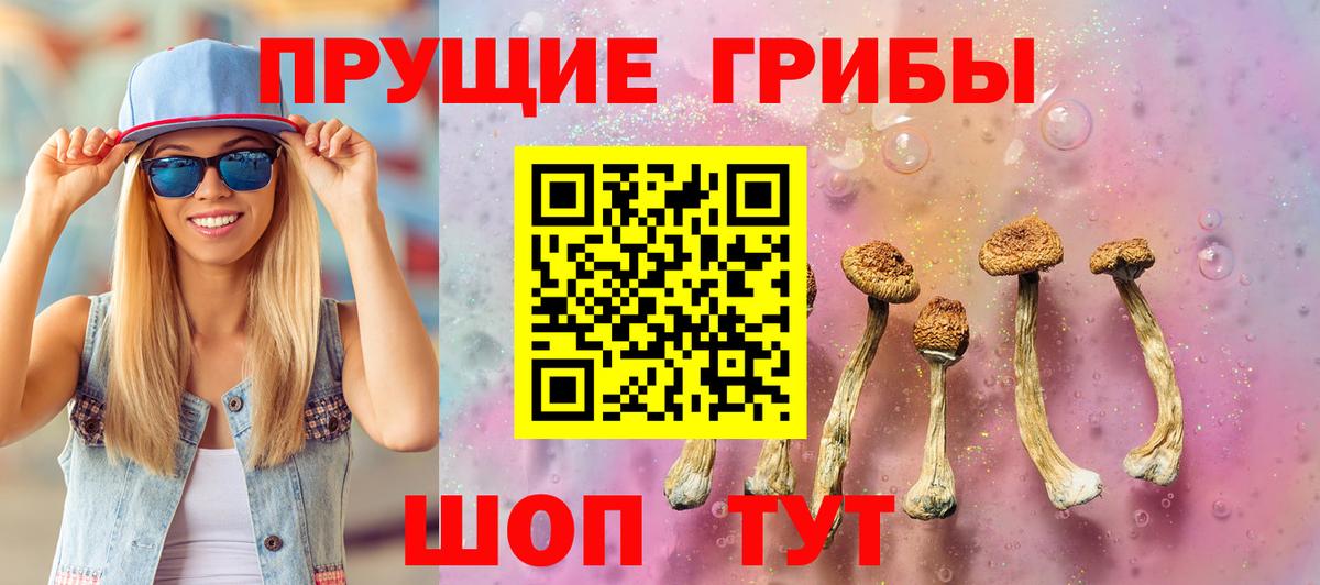 Псилоцибиновые грибы мухоморы Октябрьский
